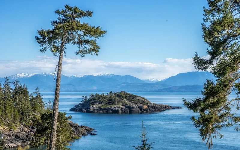 Grand Prize 10 Sooke Point 37