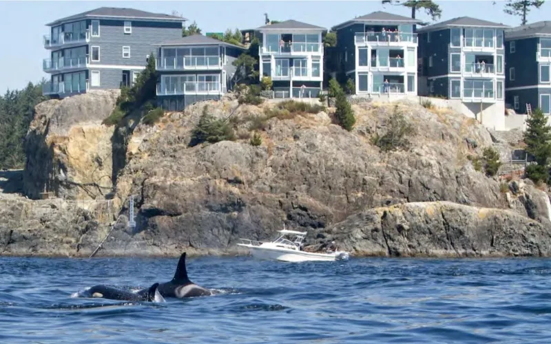 Grand Prize 10 Sooke Point 44