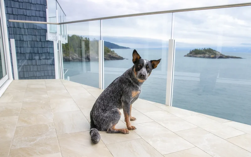 Grand Prize 10 Sooke Point 54
