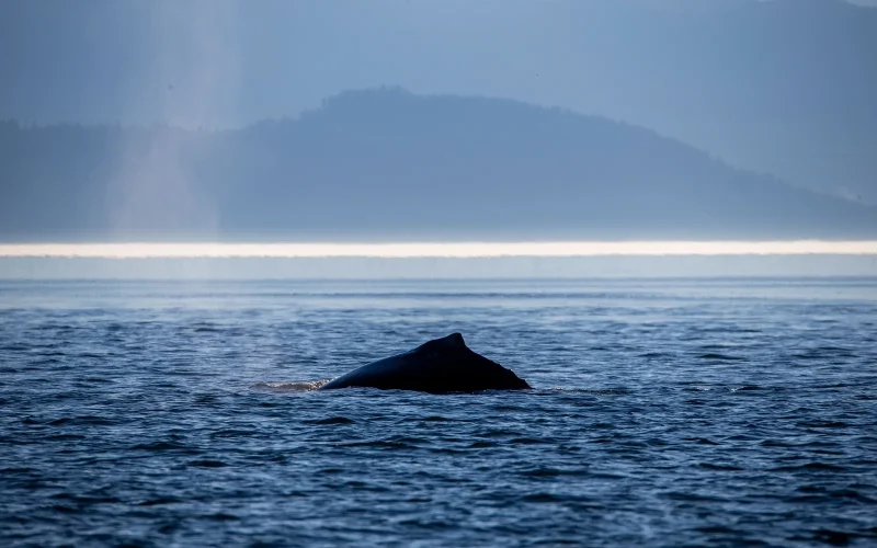 Grand Prize 10 Sooke Point 61